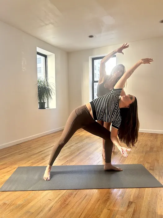 Sunce Yoga by The Yoga Nutritionist Picture 5