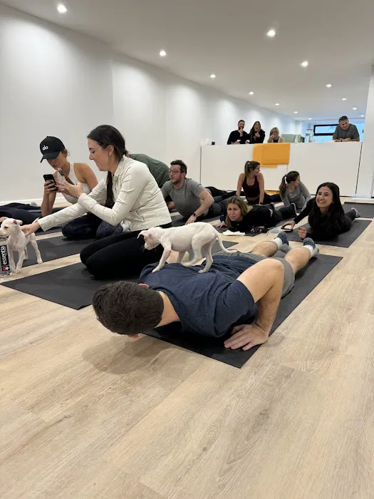 Woof Wellness Picture 1