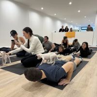 Woof Wellness ico