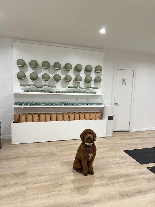 Woof Wellness Picture 3