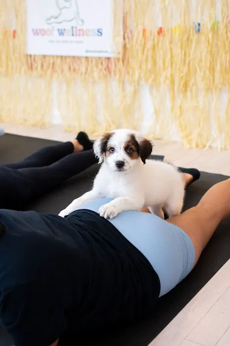 Woof Wellness Picture 8