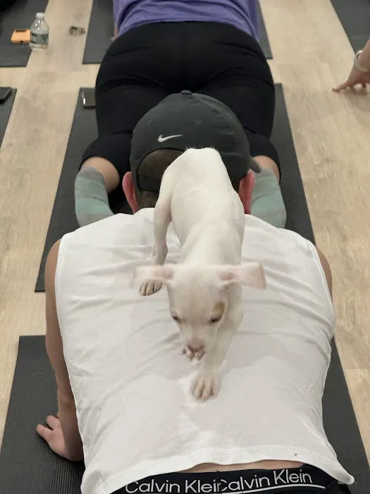 Woof Wellness Picture 6