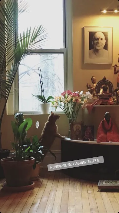 Sivananda Yoga Vedanta Center Picture 4