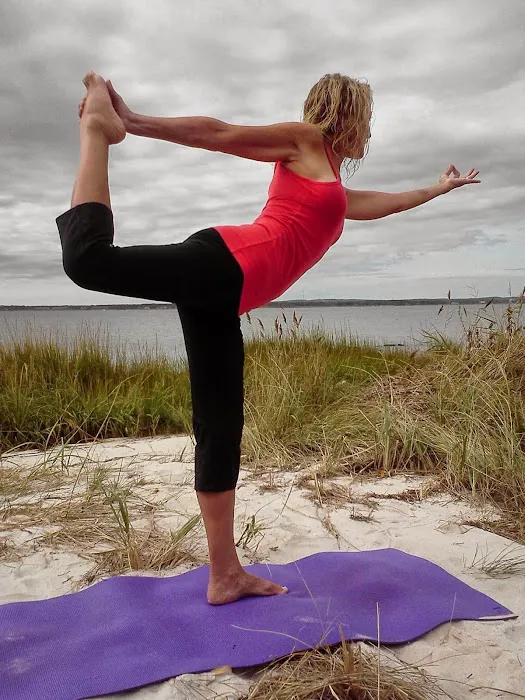 Hudson Hatha Yoga @ New York Live Arts Picture 7