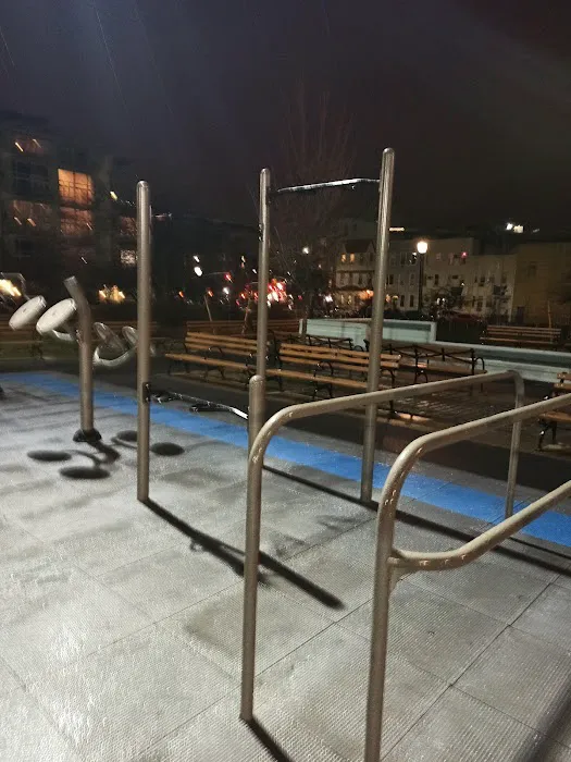 McCarren Park Outdoor Fitness Equipment Picture 1
