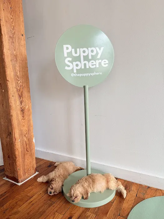Puppy Sphere | Puppy Yoga (Williamsburg) Picture 6