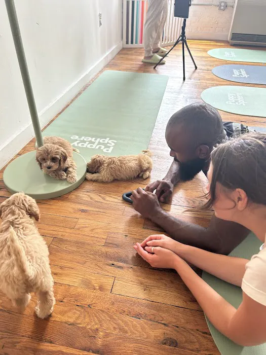 Puppy Sphere | Puppy Yoga (Williamsburg) Picture 1