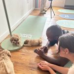 Puppy Sphere | Puppy Yoga (Williamsburg)