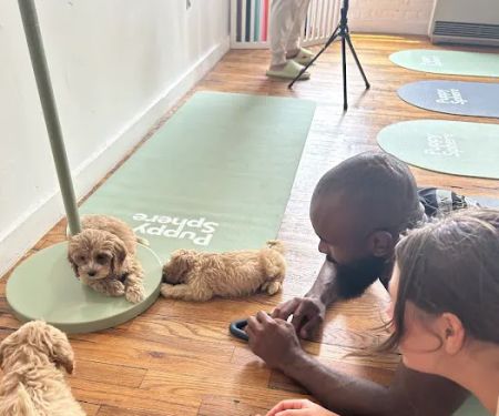 Puppy Sphere | Puppy Yoga (Williamsburg)