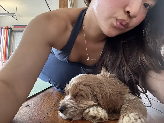 Puppy Sphere | Puppy Yoga (Williamsburg) Picture 8