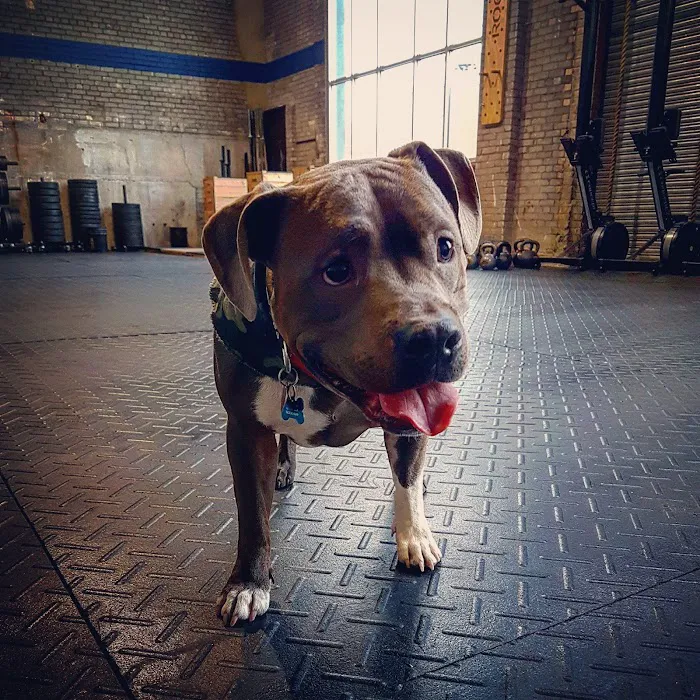 True North Training Picture 5