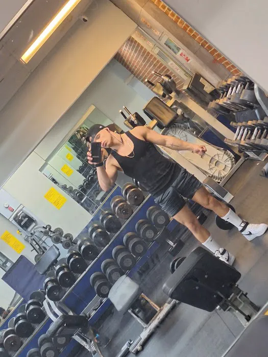 Executive Fitness Gym | Gimnasio | Bench Press | Low Impact Workout Picture 5