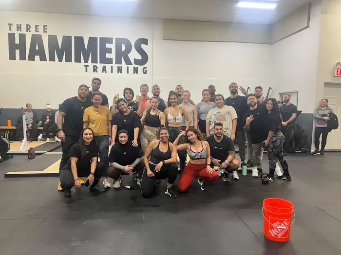 Three Hammers Training Picture 7