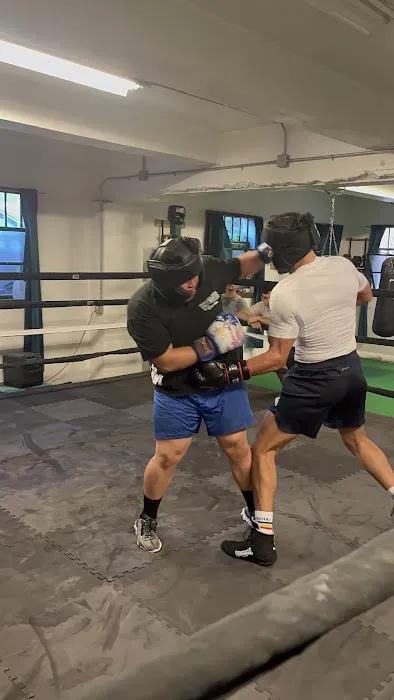 Woodside Boxing Academy Picture 6