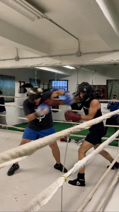 Woodside Boxing Academy Picture 7