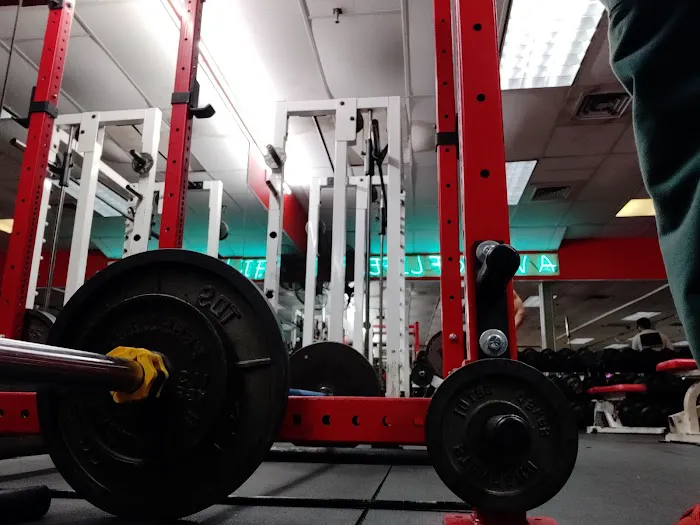 BARBELL FITNESS Picture 4