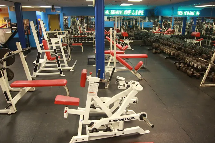 BARBELL FITNESS Picture 8