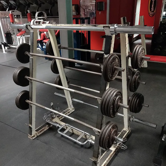 BARBELL FITNESS Picture 7