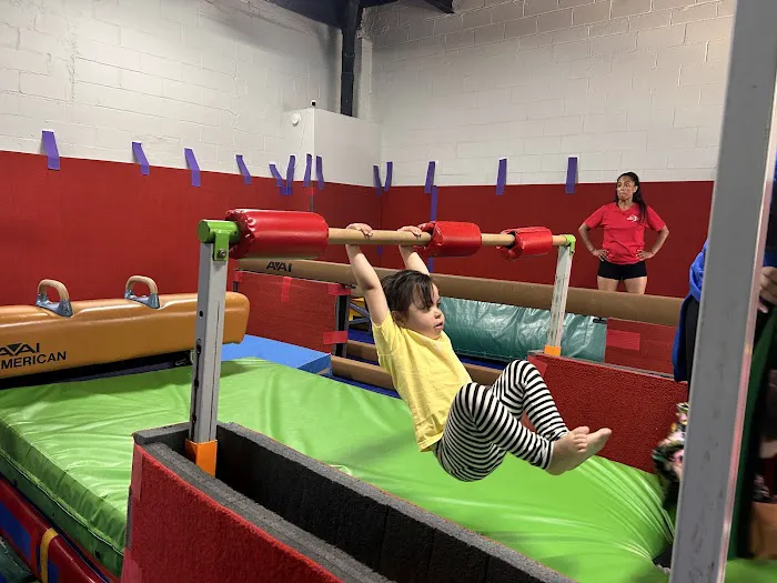 NYC Gymnastics Movement Picture 5