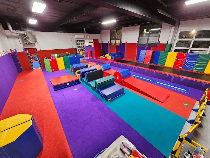 NYC Gymnastics Movement Picture 2