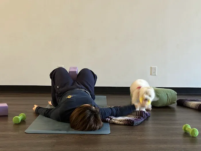 Muse4Yoga Picture 5