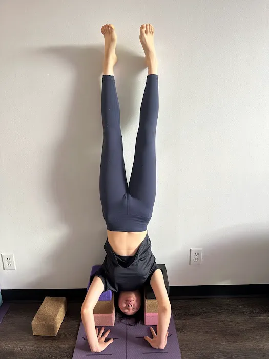 Muse4Yoga Picture 7