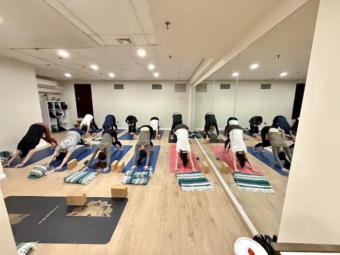 ST Yoga 展境瑜珈 Picture 4