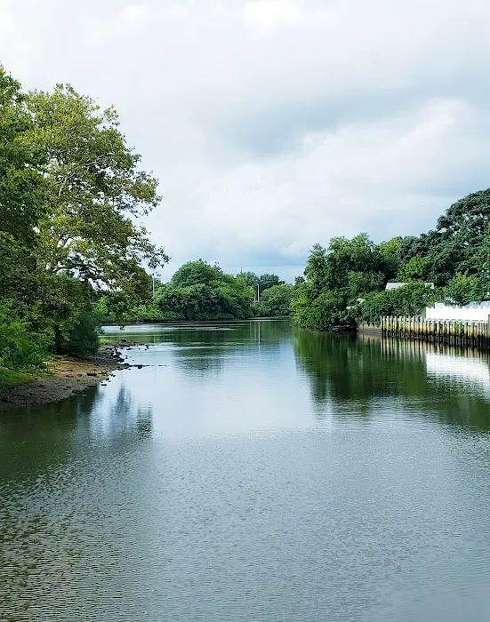 Lister park Picture 7