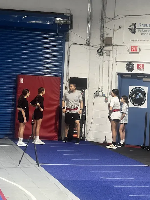 Krause Performance Training Picture 6