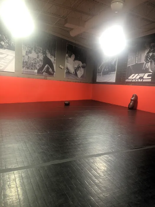 UFC GYM Long Island Picture 4