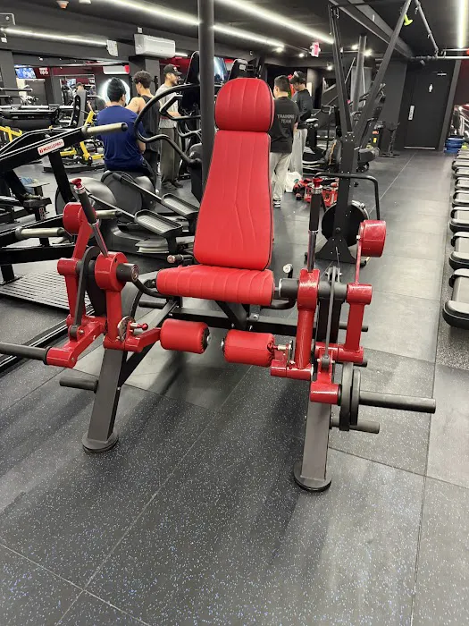 Iron Pump Gym (Bayside) Picture 10