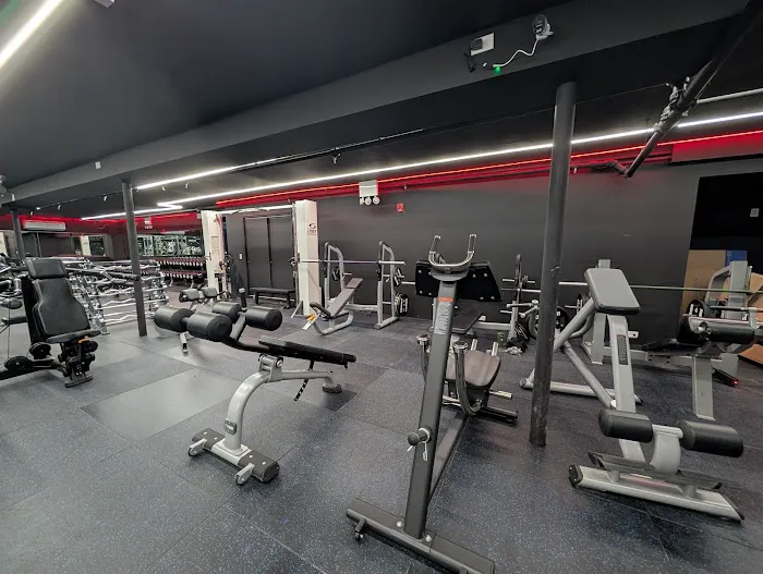 Iron Pump Gym (Bayside) Picture 2