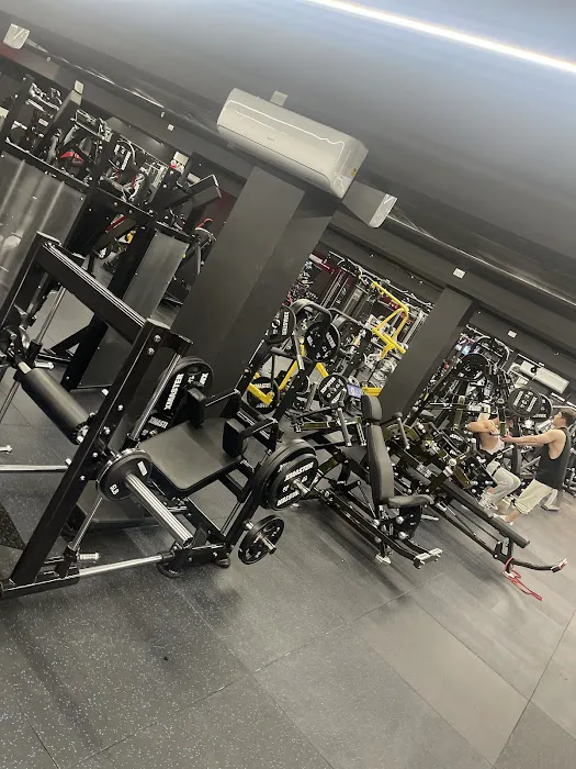 Iron Pump Gym (Bayside) Picture 6