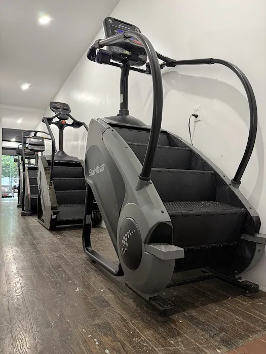Iron Pump Gym (Bayside) Picture 4