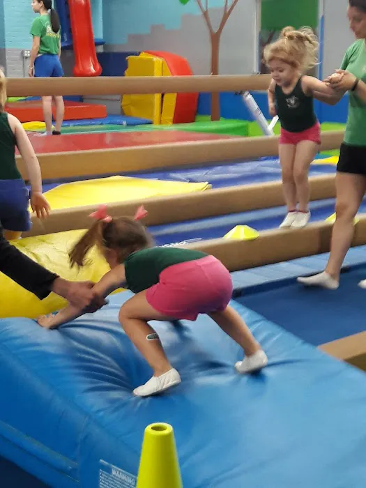Park City Gymnastics Ltd. Picture 1