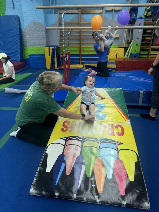 Park City Gymnastics Ltd. Picture 3