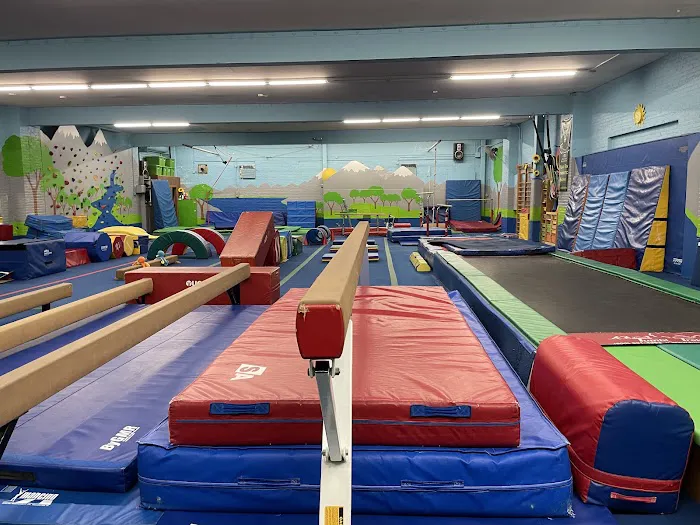 Park City Gymnastics Ltd. Picture 7