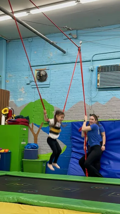 Park City Gymnastics Ltd. Picture 2