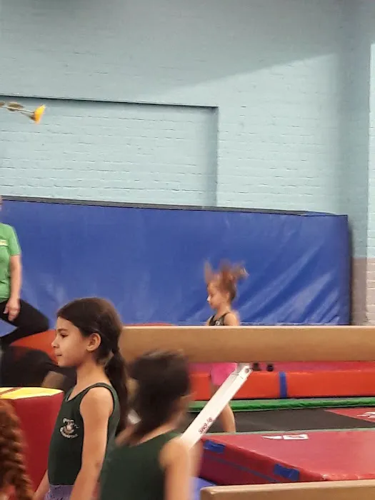Park City Gymnastics Ltd. Picture 6