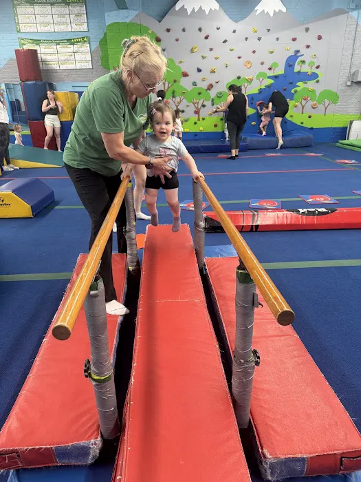 Park City Gymnastics Ltd. Picture 4