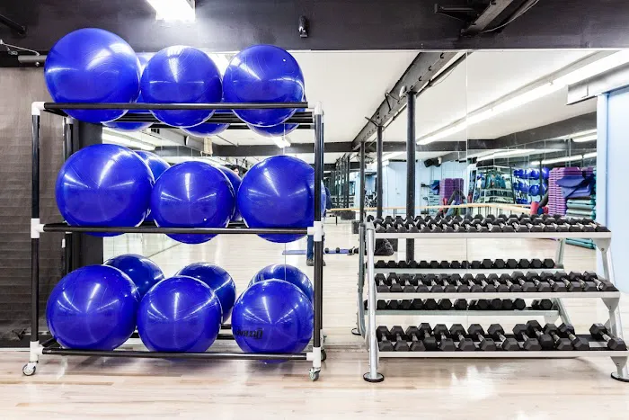 Powerhouse Gym Bayside Picture 4