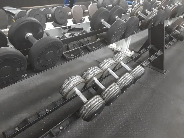 Powerhouse Gym Bayside Picture 6
