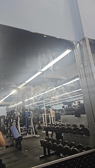 Powerhouse Gym Bayside Picture 7