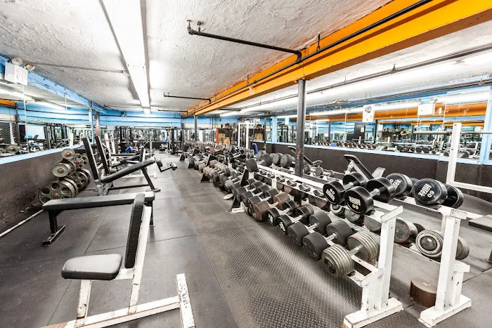 Powerhouse Gym Bayside Picture 8