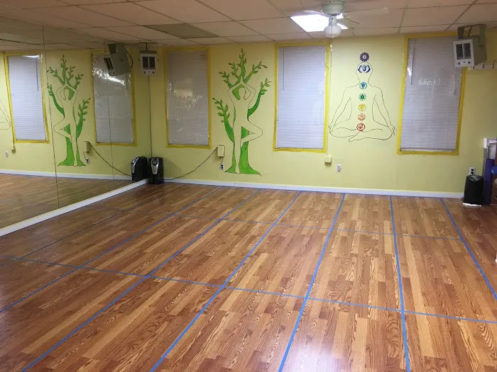Prana Hot Yoga Picture 3