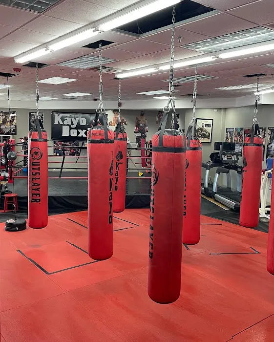 Kayo Boxing Gym Picture 10
