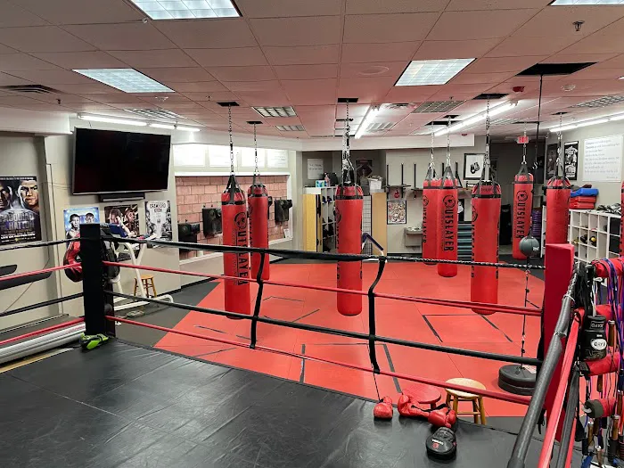 Kayo Boxing Gym Picture 3