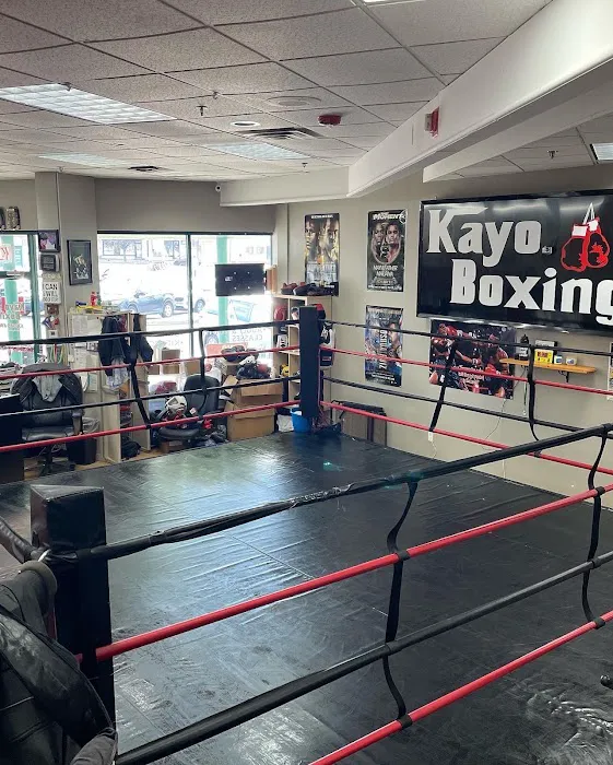 Kayo Boxing Gym Picture 4