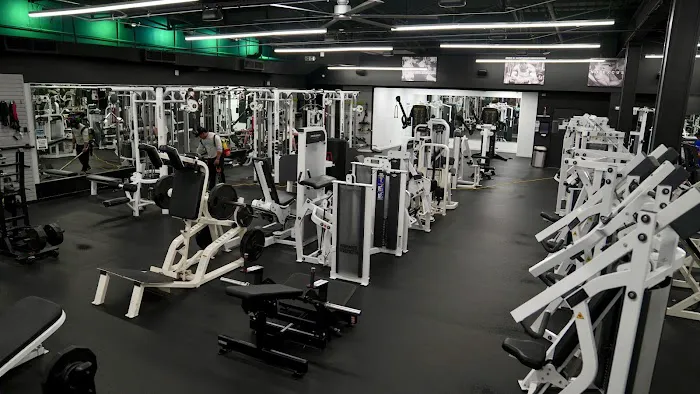 Hollywood Health Club Picture 2