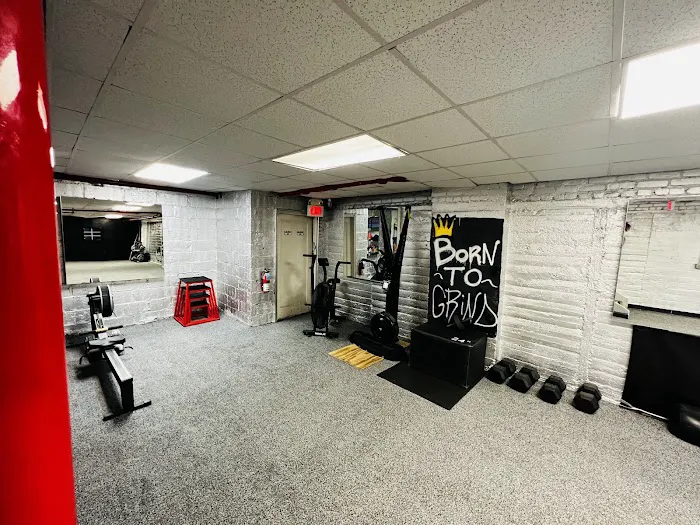 UniversalFitClub Picture 7
